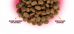 Alimento para perro raza mediana y adulto 20kg - Imagen 2